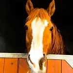 Apartmán Chevres A Cheval -