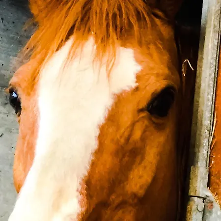 Chevres A Cheval - شقة أَويستا