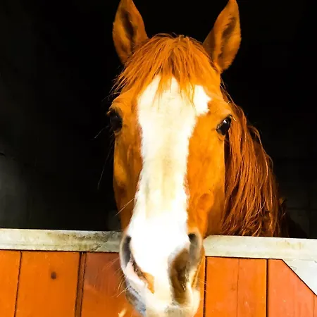 Apartamento Chevres A Cheval -