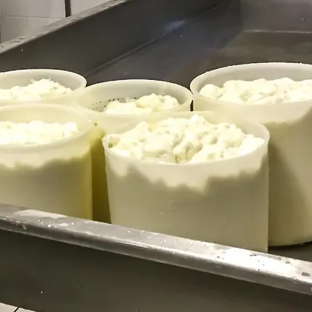 Daire Chevres A Cheval -