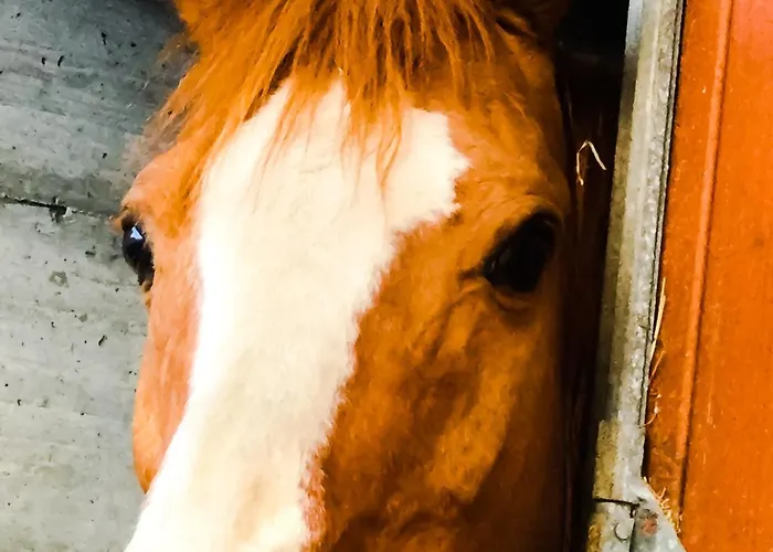 Chevres A Cheval - Апартаменты Аоста