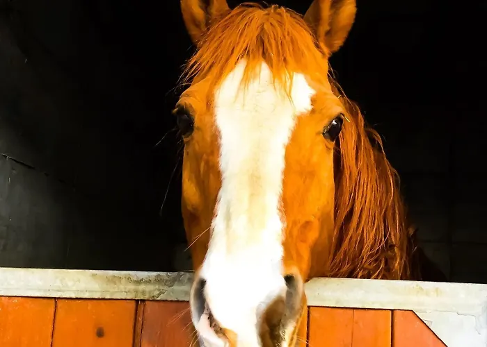 Apartman Chevres A Cheval -