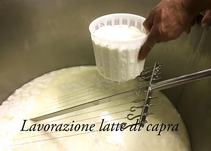 Chevres A Cheval - *